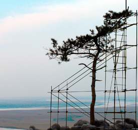 Encuentros. José Manuel Ballester